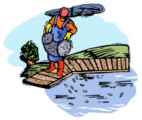 Fish Farm Hatcheries