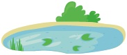 Fish Farming in Ponds