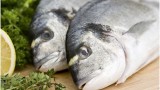 Tilapia Farming in Africa