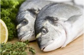Tilapia Farming in Africa