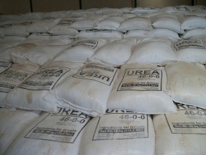Urea Fertilizer in Kenya Dairy Farming