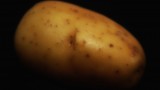 PRODUCING YOUR OWN POTATO SEEDS