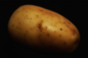 PRODUCING YOUR OWN POTATO SEEDS