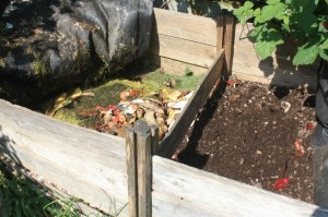 5 TIPS ON CREATING A COMPOST PIT