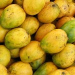 Mango Farming in Africa