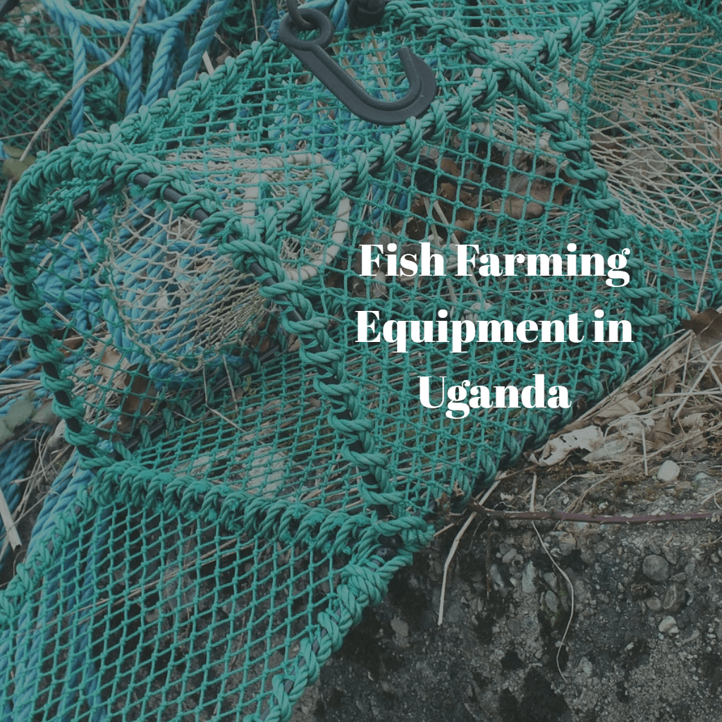 Fish Farming Equipment: The Only Guide You Will Need - Africa Farming